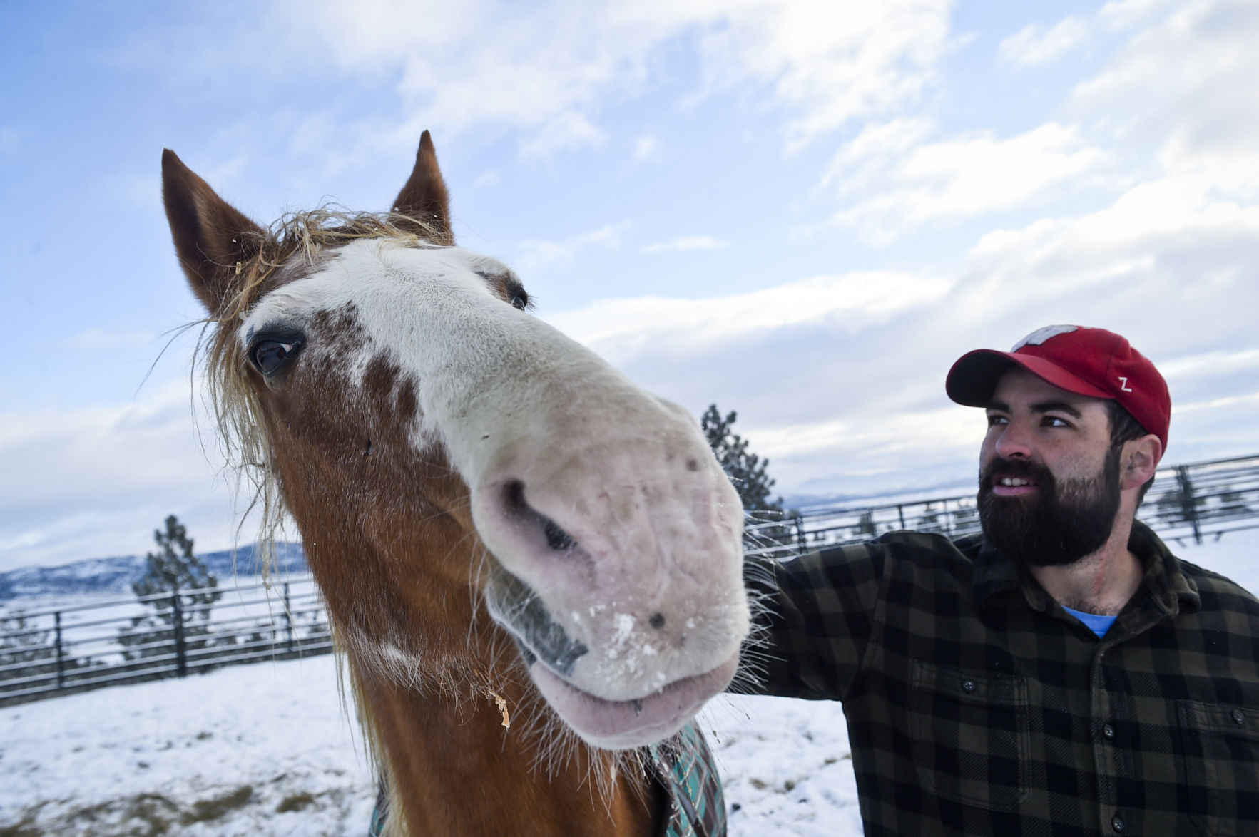 Davis and her boyfriend, Trever Murphy, have the horses in quarantine while they get antibiotics and vaccines.